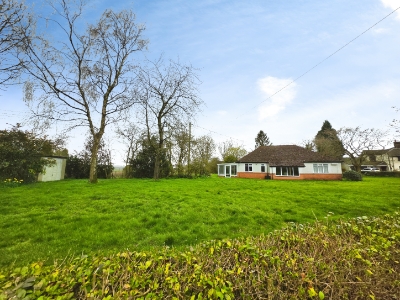 Picture 22